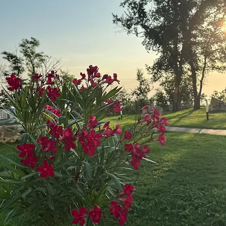 Luxury Sea Prestige - Jacuzzi, Sauna And Steam Bath Daire