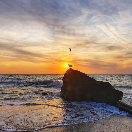 Luxury Sea Prestige - Jacuzzi, Sauna And Steam Bath Daire Varna